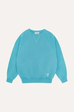 Blue Washed Sweatshirt