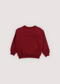 Bluza TNS Logo Sweatshirt