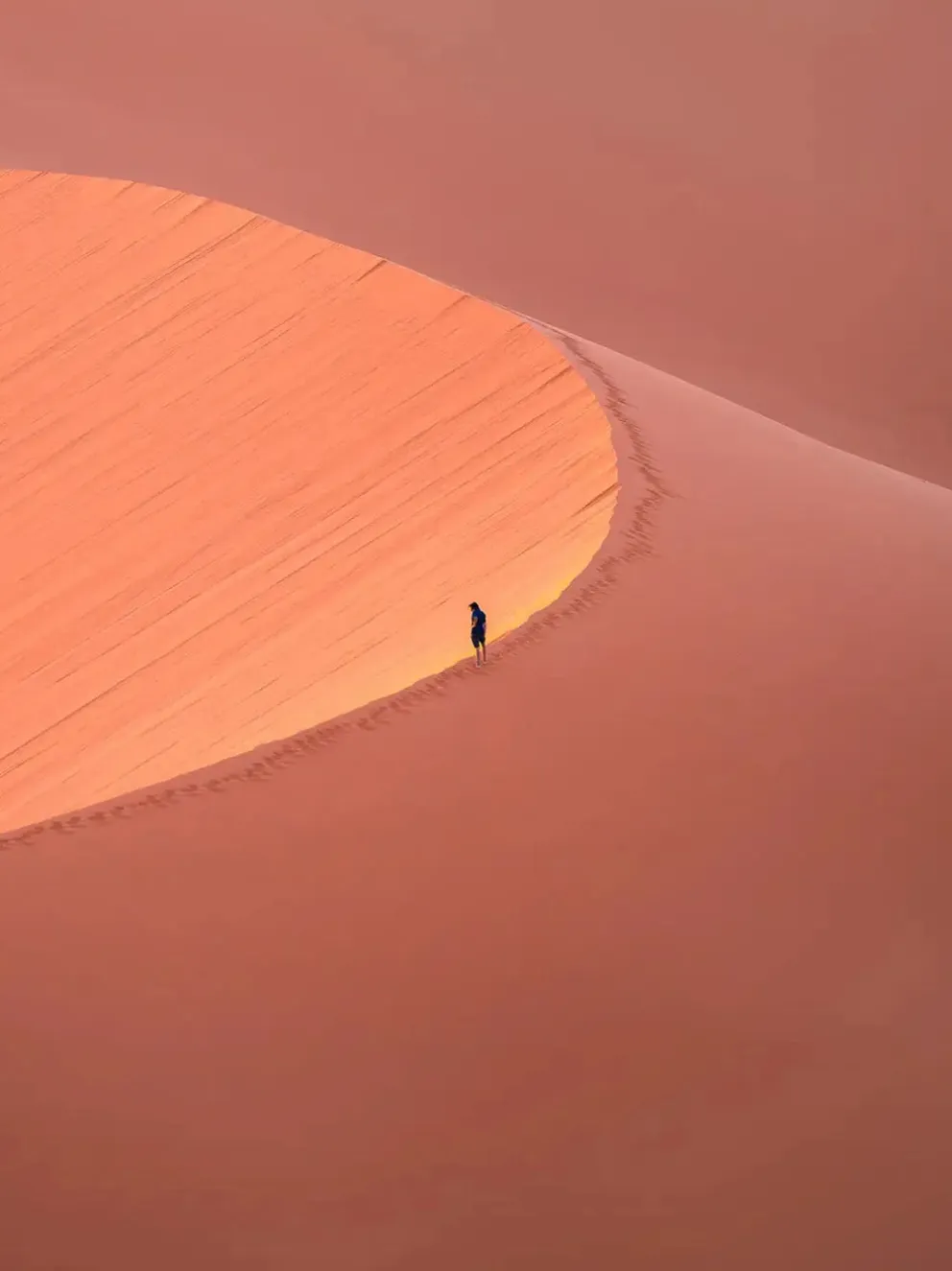 Bratosiewicz Album