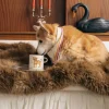 Ceramiczny kubek Labradoodle