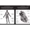 Gabinet anatomii