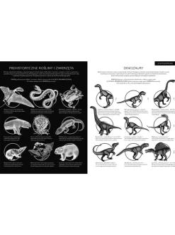 Gabinet dinozaurów