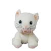 Kot z magnetycznym pyszczkiem Dinkum Cat
