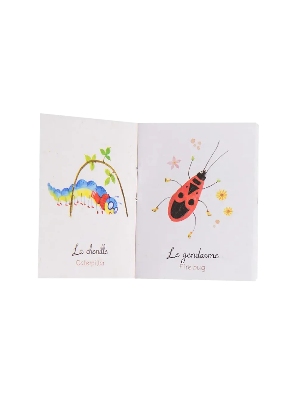 latarka projektor z książeczkami Le Jardin