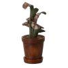 Miniaturowa doniczka z rośliną