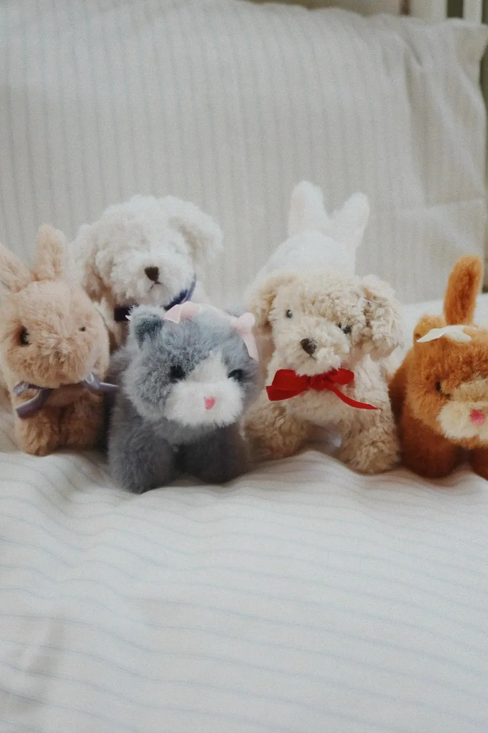 Mini przytulanka Brązowy Kot Baby Animal