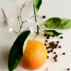 Naturalna świeca zapachowa Jasmine