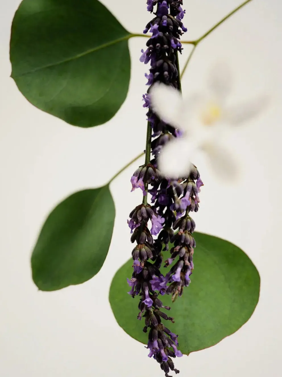 Naturalna świeca zapachowa Lavender