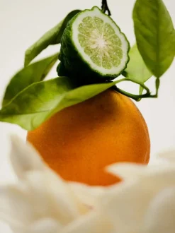 Naturalne perfumy w olejku No. 12