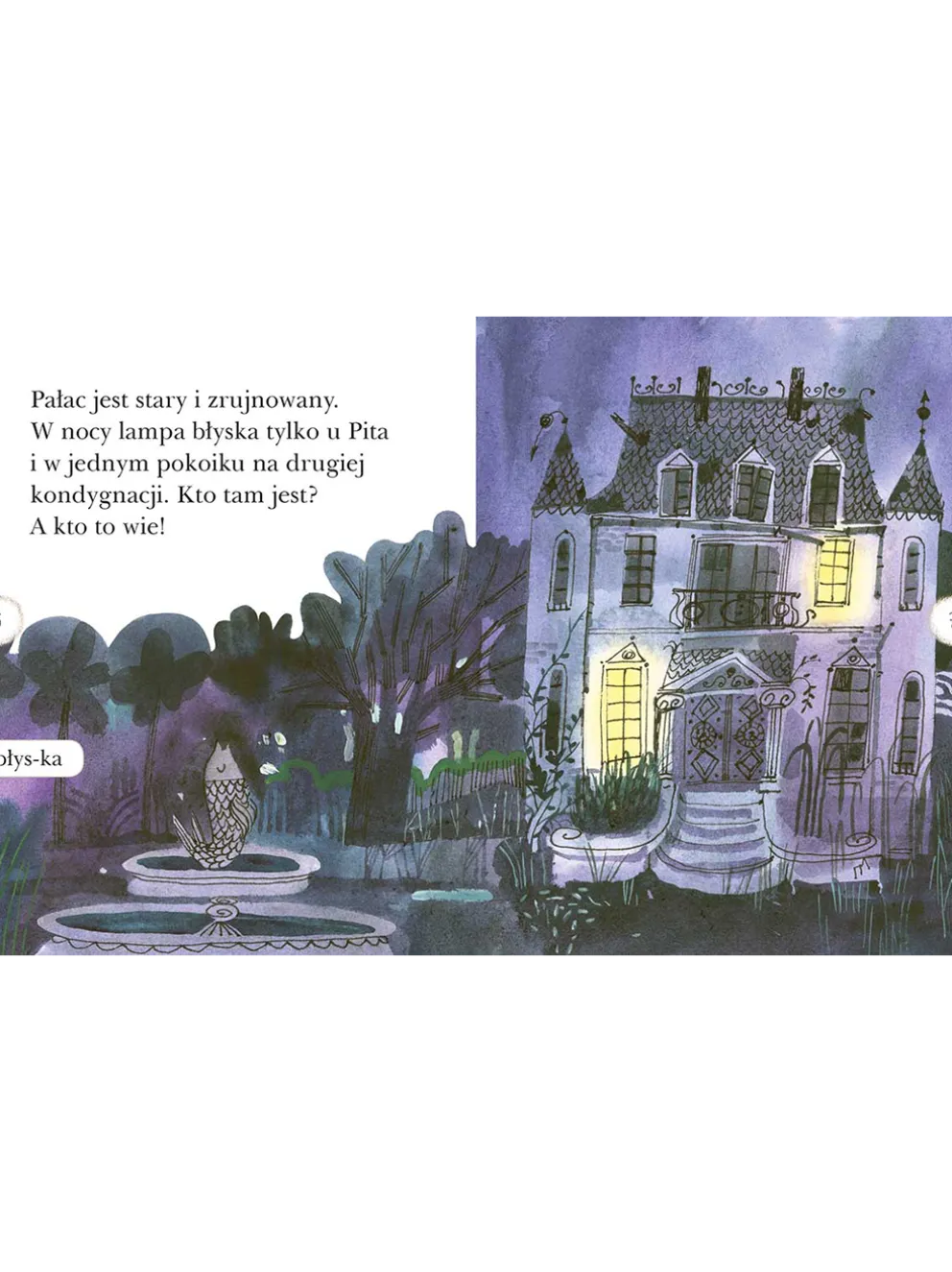 Pan Pit i jego kwiatek. Czytam sobie poziom 2