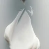 Perfumowany krem do rąk Witchy Woo