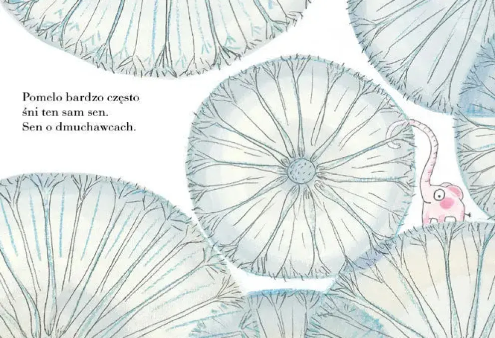 Pomelo śni