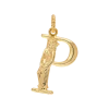 Pozłacana zawieszka Initial Muse Necklace Charm
