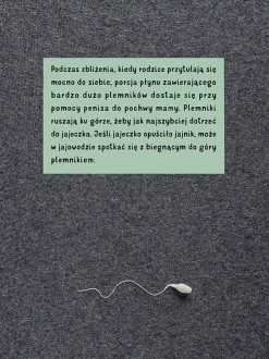 Pępek