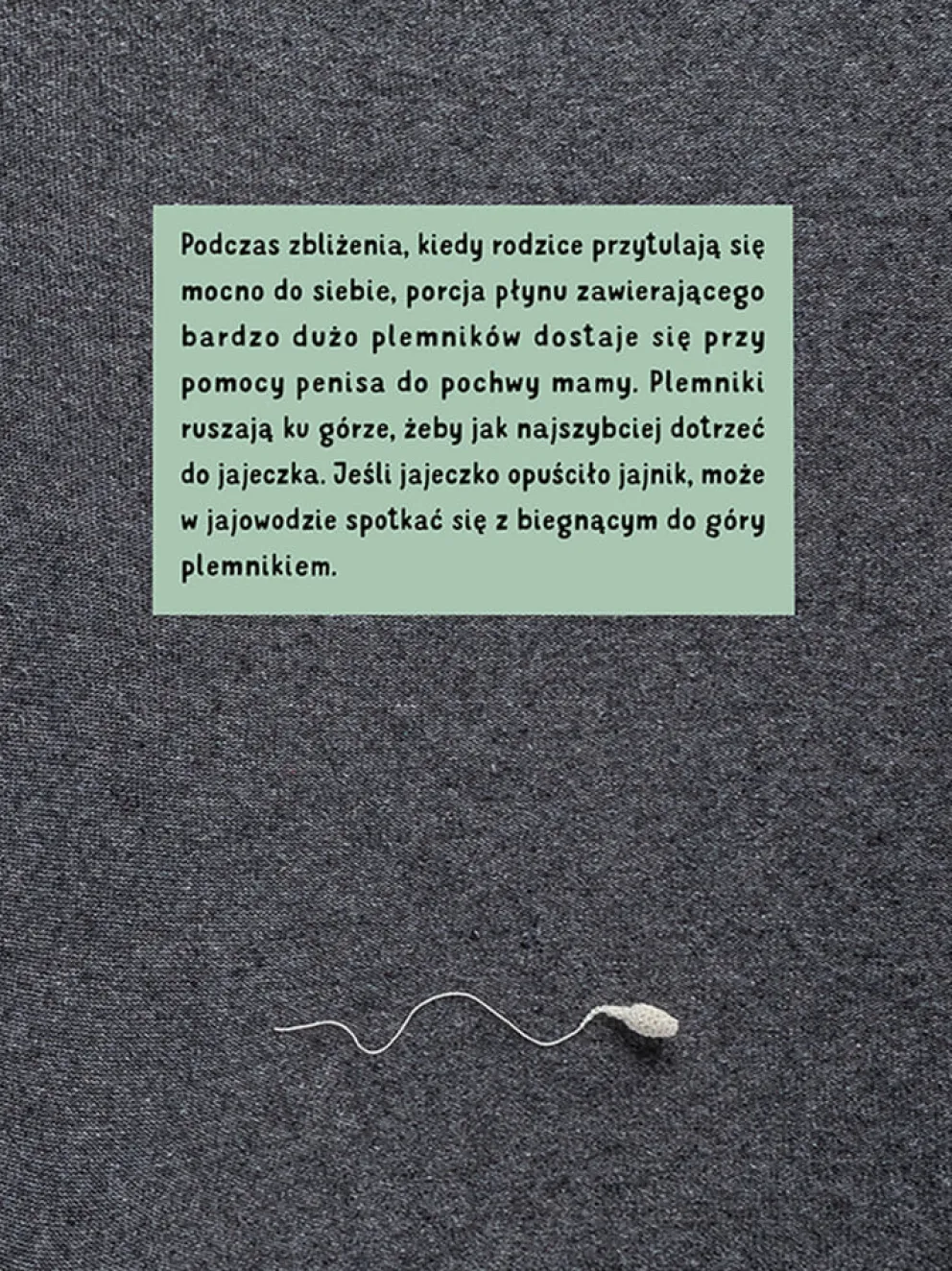 Pępek
