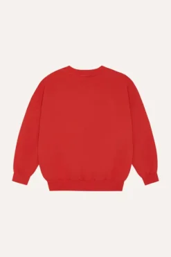 Reading Lion Sweatshirt