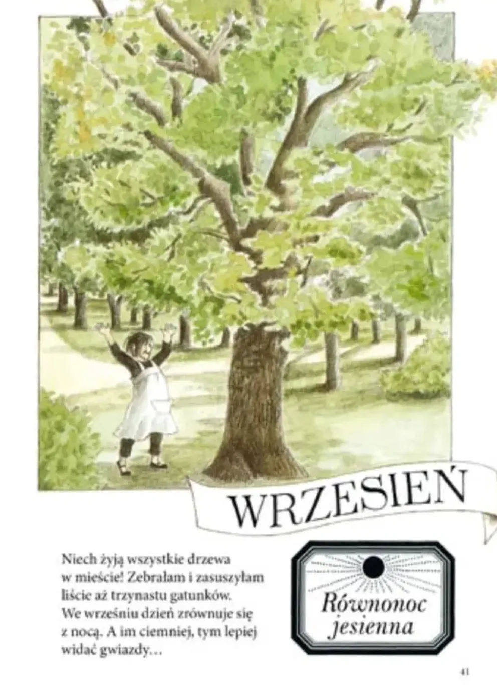 Rok z Linneą