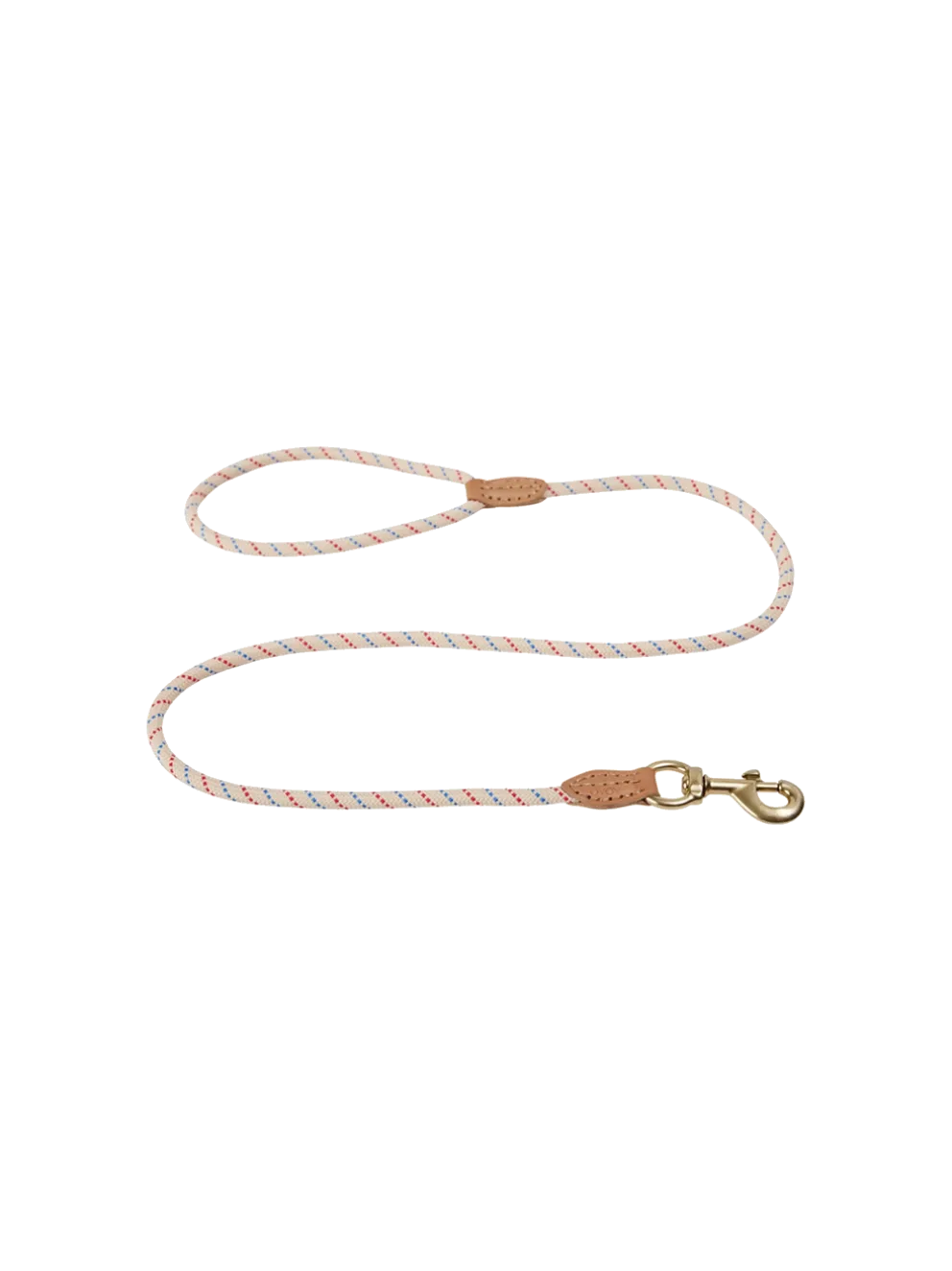 Smycz dla psa Perry Dog Leash