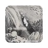 Taca Moomin Originals