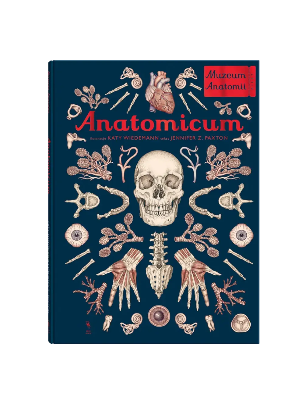 W Muzeum. Anatomicum