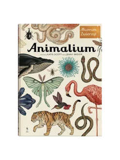 W Muzeum. Animalium