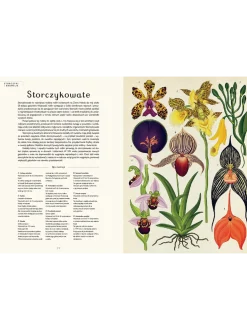 W Muzeum. Botanicum