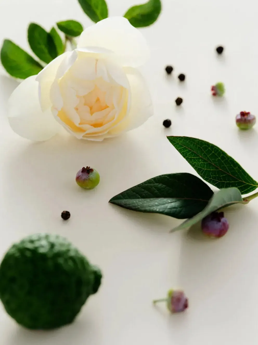 Woda perfumowana Cassis