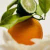 Woda perfumowana No. 12