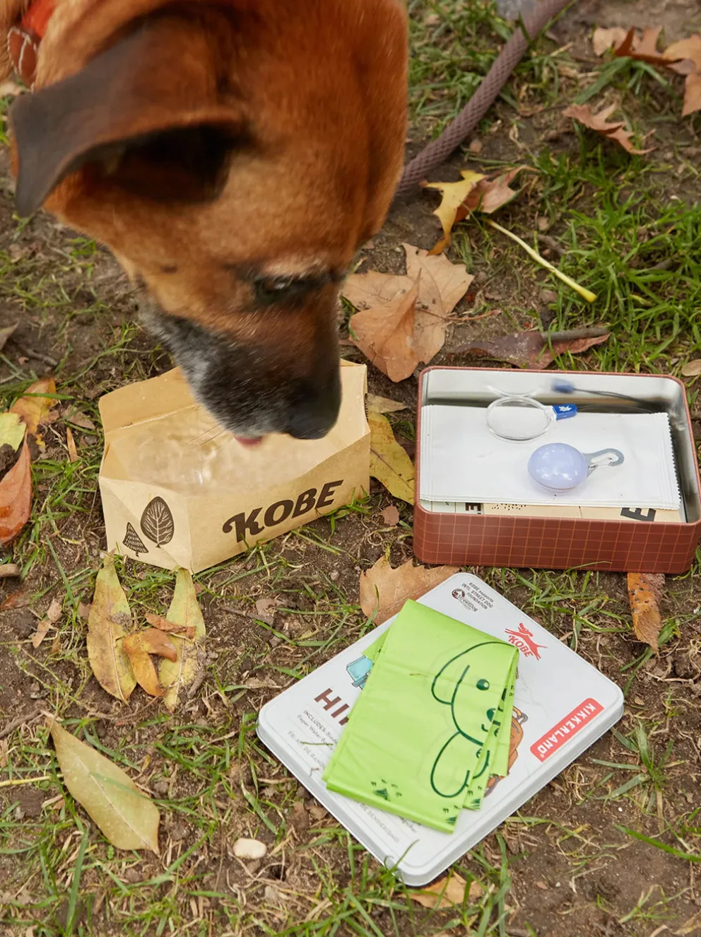 Zestaw dla psa Kobe Dog Hiking Kit